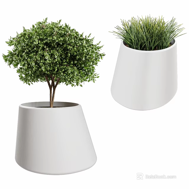 White Decorative Planters With Green Leafy Shrubs And Grass For Home Decor 3d model 