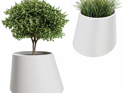 White Decorative Planters With Green Leafy Shrubs And Grass For Home Decor 3d model
