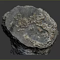 Unique Stump Shaped Wood Stone With Textured Surface And Mushroom Patterns As Decorative Tabletop Piece