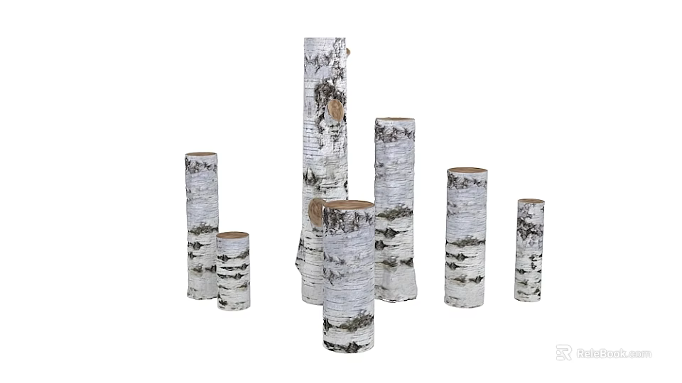 Natural Birch Tree Trunks With Various Heights White Bark And Black Textures 3d model 