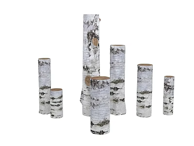 Natural Birch Tree Trunks With Various Heights White Bark And Black Textures 3d model