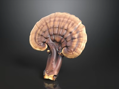 Contemporary Sofa Coffee Table Combination With Wooden Frame And Fabric Upholstery 3d model