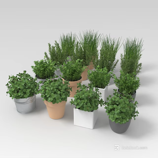 Various Potted Green Leafy Plants in Ceramic Metal and White Square Pots 3d model 