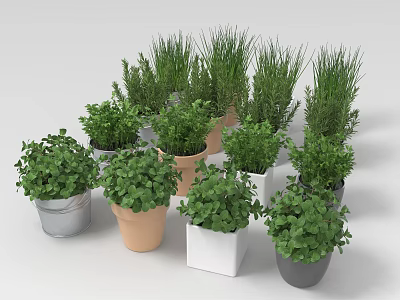 Various Potted Green Leafy Plants in Ceramic Metal and White Square Pots 3d model