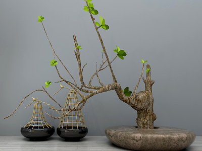 Modern Bonsai Gardening Sits model