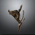 Artisan Designed Biomorphic Wooden Sculpture Featuring Natural Branch And Organic Form