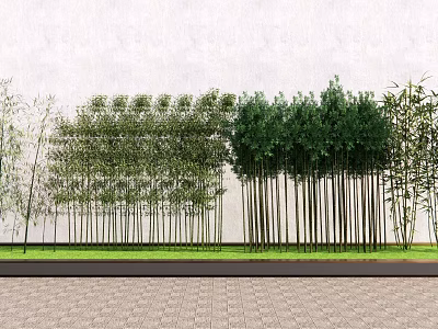 Row of Tall Trees With Various Species Against Light Colored Wall And Grass Paved Ground 3d model