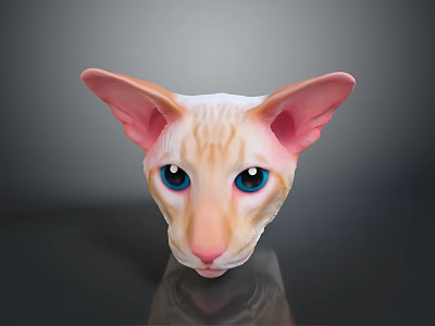 Sphynx Cat Head Close-Up With Large Ears Blue Eyes And Pink Nose Light-Colored Skin 3d model