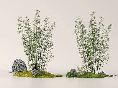 Serene Courtyard Garden With Lush Bamboo Plants Rocks And Green Moss 3d model
