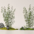 Serene Courtyard Garden With Lush Bamboo Plants Rocks And Green Moss
