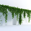Lush Green Vines Covering Arched Structure With Hanging Leaves And Supporting Pillars