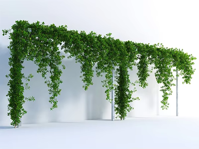 Lush Green Vines Covering Arched Structure With Hanging Leaves And Supporting Pillars 3d model