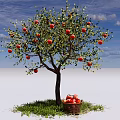 Apple Tree with Ripe Red Apples Fruit Basket Underneath Green Grass and Blue Sky