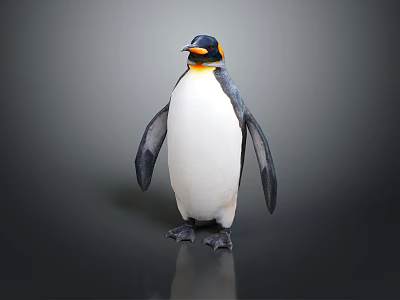 Penguin Standing With Black And White Feathers Yellow Neck Patch Orange Beak On Dark Background 3d model