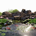 Natural Rockery Waterfall Pond With Lotus Flowers Lily Pads And Koi Fish