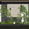 Indoor Plant Combination With Various Green Plants Ferns Palms And Decorative Lights