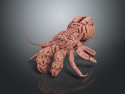 Modern lobster Australian rock lobster Macrobrachium black and white lobster 3d model