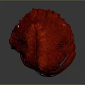 Realistic Human Head Mannequin Displaying Red Wavy Short Hair Styling Design
