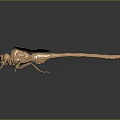 Modern dragonfly without bully hook giant hip big fly without bully hook 3d model