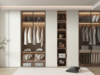 Modern Wardrobe Home Wardrobe 3d model