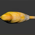 Yellow Bird Standing On Black Surface With Reflection In Studio Lighting