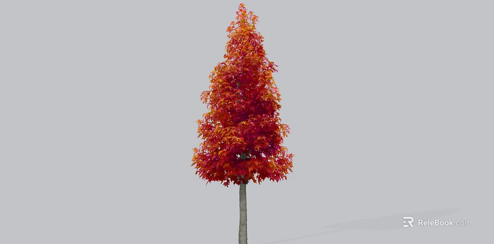 Tall Arbor With Vibrant Red Orange Autumn Foliage And Slender Trunk 3d model 