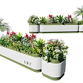 Colorful Mixed Potted Plants With Green Foliage Red Flowers And Palm In Long Rectangular Planters