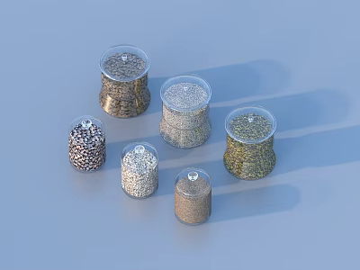 Dried fruit food Traditional Chinese medicine 3d model
