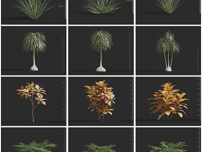 Various Arbor Trees Featuring Green Red Foliage And Diverse Trunk Structures 3d model