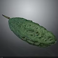 Fresh Green Bitter Melon Showing Raised Surface Texture and Slender Shape with Brown Stem 3d model