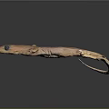 Brown Salamander With Long Body Large Eyes And Small Limbs On Black Background