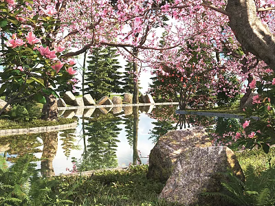 Flowering Trees with Pink Blossoms Reflecting in Pond Surrounded by Rocks and Green Grass 3d model