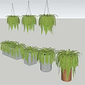 Hanging Basket Green Plants With Ferns In White And Wooden Planters For Indoor Decor