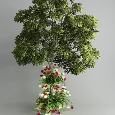 Tall Arbor With Lush Green Foliage And Red White Blossoms In Outdoor Garden 3d model