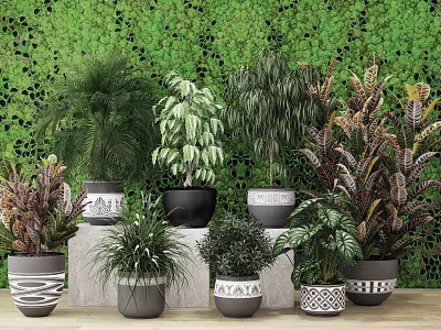 Varied Bonsai Potted Plants In Decorative Pots On Stone Platforms With Green Mosaic Wall 3d model
