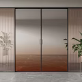 Modern Glass Sliding Doors With Ribbed Glass Panels And Potted Plants On Wooden Floor