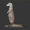 Realistic Weasel Statue Standing on Natural Stone Base with Detailed Fur Texture