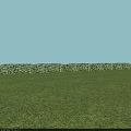 Green Plants Neatly Arranged With Lush Grass Under Light Blue Sky