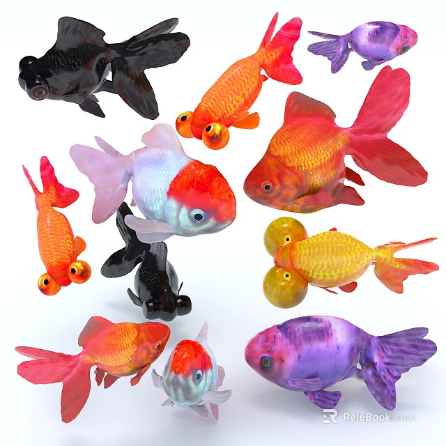 Aquatic Animals Colorful Goldfish In Various Colors Including Red Orange Black And Purple 3d model 