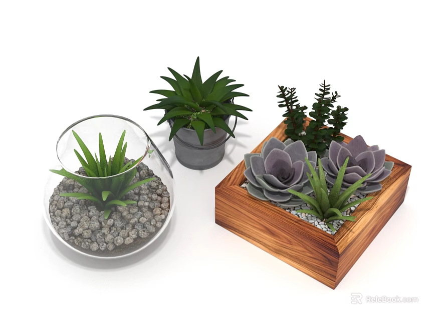Succulent Plants in Glass Globe Gray Pot and Wooden Box Indoor Decor 3d model 