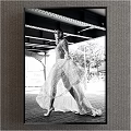 Black and White Female Figure Painting with Flowy Gown and Urban Street Scene Elements