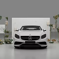 White Mercedes Car Display With Green Plant Decorations Frames And Lanterns
