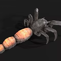 Spider Like Creature With Multiple Legs And Orange Gray Body On Black Background 3d model