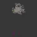 Tall Flowering Tree With Pink Blossoms Green Grass And Small Plants
