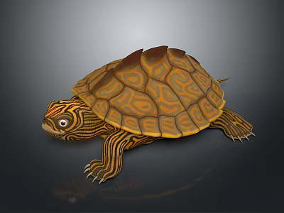 Turtle With Orange And Brown Patterned Shell Striped Head And Limbs 3D Rendered 3d model
