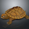 Turtle With Orange And Brown Patterned Shell Striped Head And Limbs 3D Rendered 3d model