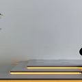 Courtyard Garden Design with Illuminated Steps Green Plants White Wall and Gray Stone Slabs