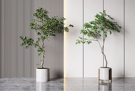 modern potted plant green plant potted plant 3d model