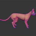 3D Rendering of Standing Hairless Cat With Light Orange Color and Gray Background