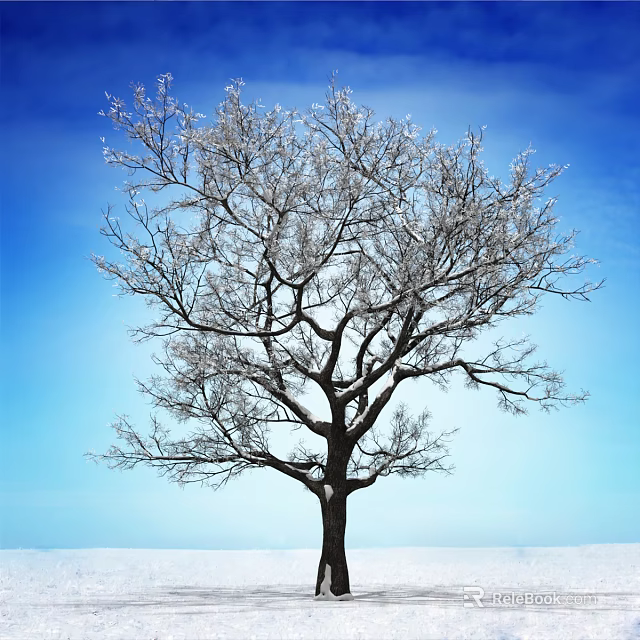 Snow Covered Arbor Tree With Bare Branches Against Blue Sky 3d model 